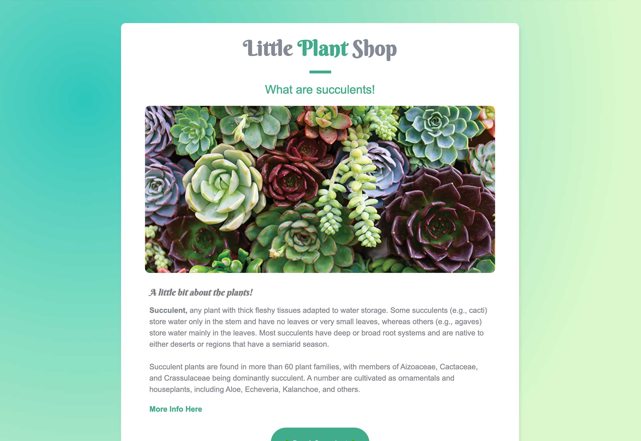 little plant shop